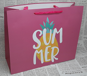 Пакет подарочный 70115 (32Х26Х10см )