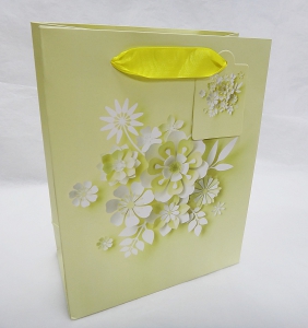 Пакет подарочный 0120 (24Х18Х8 см )