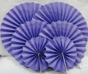 Набор гармошек ( 6 шт) .