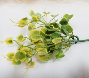 Ветка травы ирландской