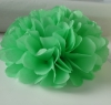 Зеленый салатный  помпон - 23 см